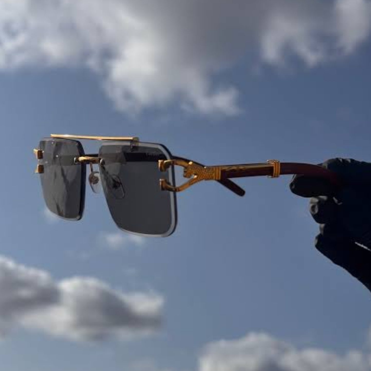 Solar Cheetah Glasses